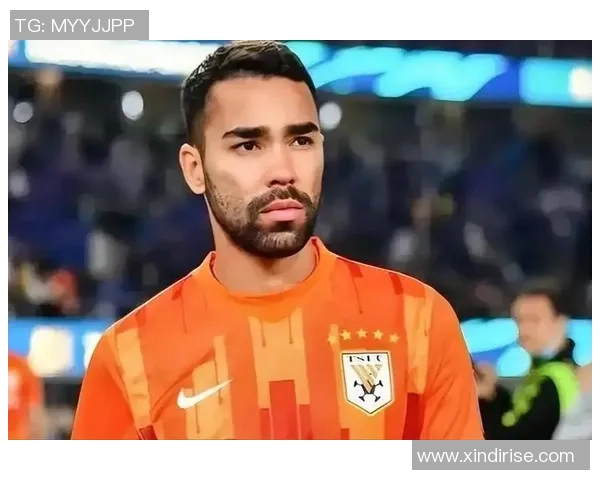 全球足球明星选手国籍排名揭晓各国球员实力一览