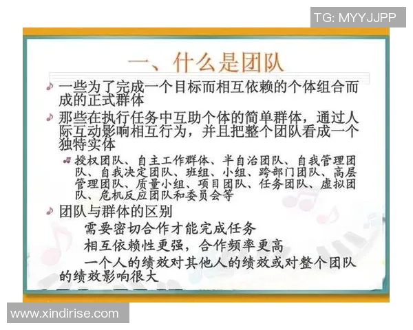 北京排球队总决赛技术分析：展现实力与团队协作的精彩表现