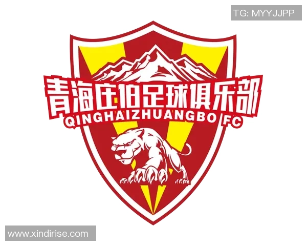 青海庄伯足球俱乐部崛起之路探索与发展新篇章